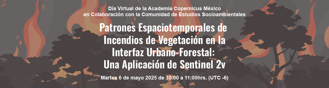 Patrones Espaciotemporales